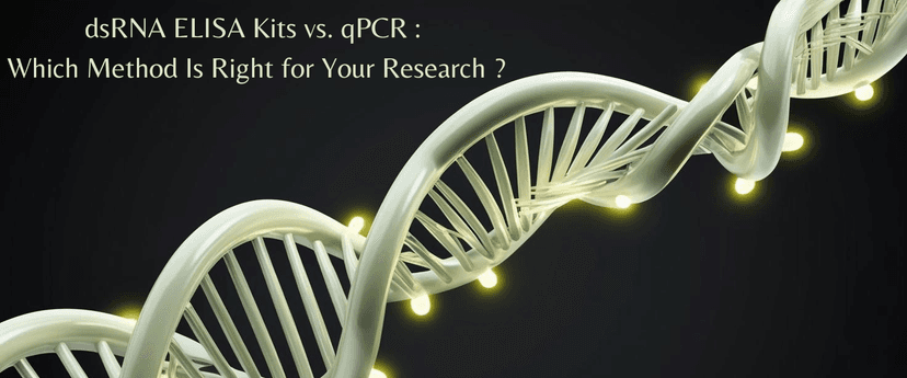 dsRNA ELISA Kits vs. qPCR ?