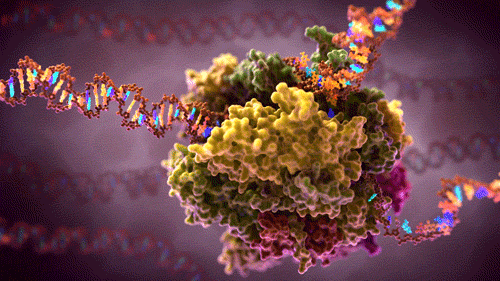 Background image for The Role of Genetic Mutations in Cancer Development